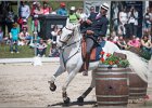 Pferd International 123